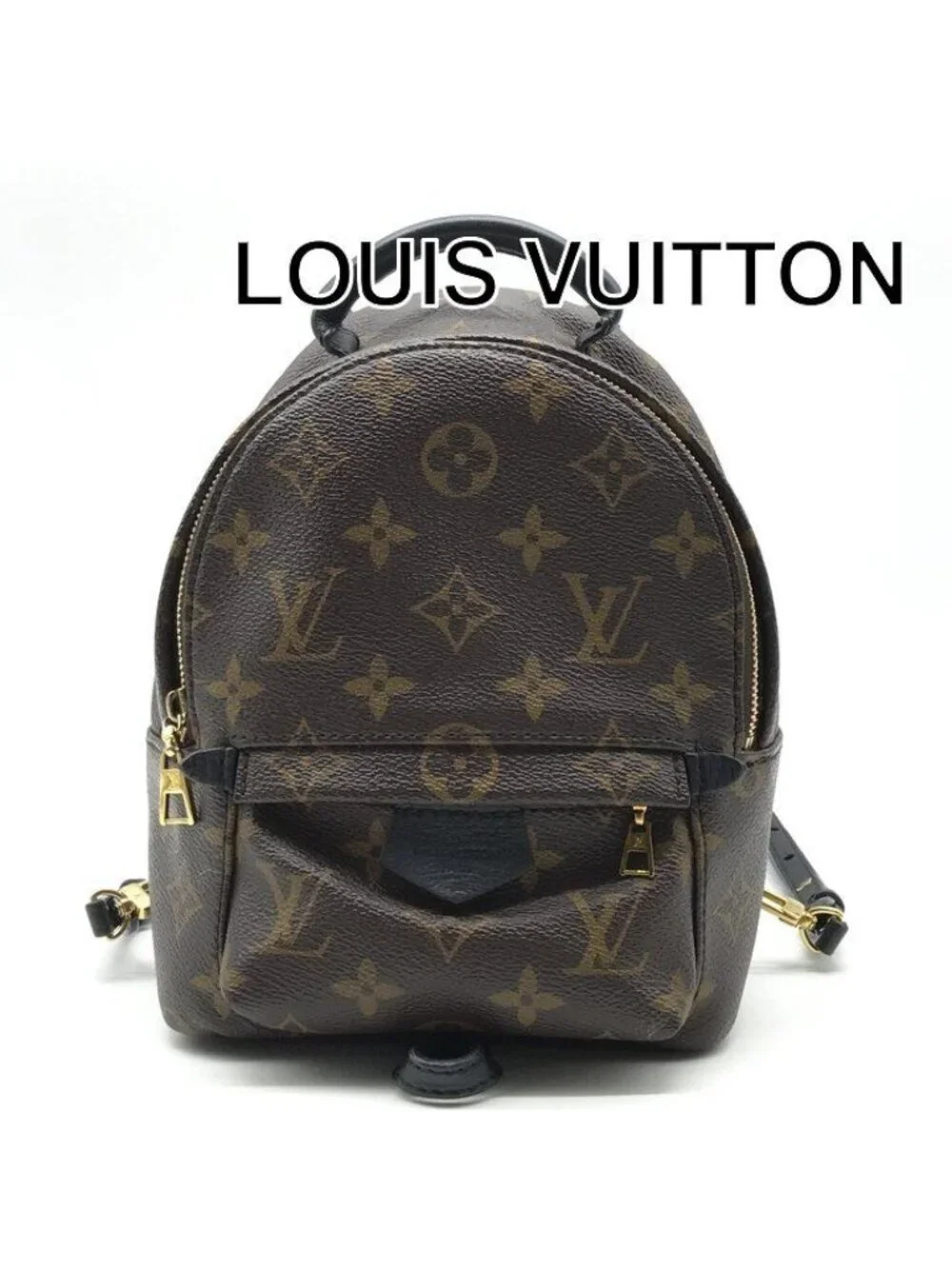 Louis Vuitton Palm Springs Backpack Monobank Leather